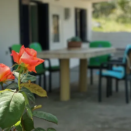 Anna's House بيت للعطل *